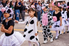 312556817_3292819854312915_6420400351051942782_n