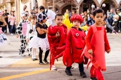 312601437_3292820054312895_4704693100694713411_n