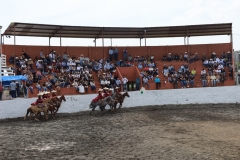 IMG_1004